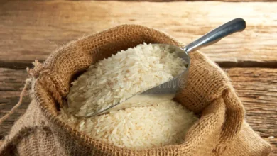 rice grain export banned