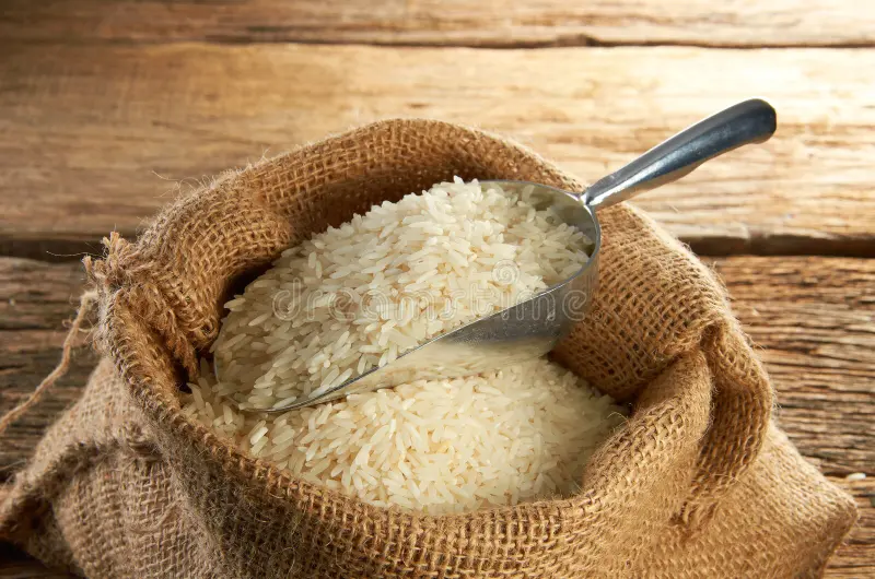 rice grain export banned