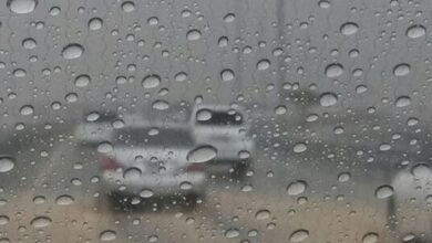 Rain In UAE