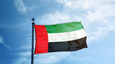 uae flag