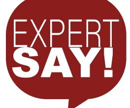 expert say blog post