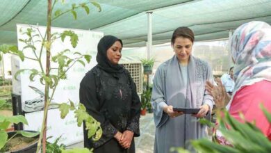 New AI-powered mobile application