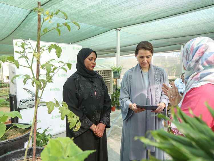 New AI-powered mobile application