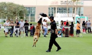 Dog training performance at the Dubai Police Carnival