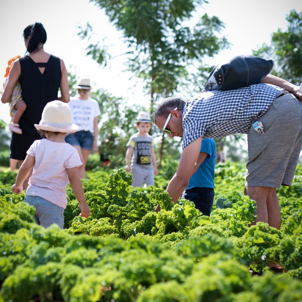 Emirates Bio Farm's Open Season