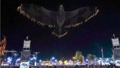 Happy New Year at Sheikh Zayed Festival