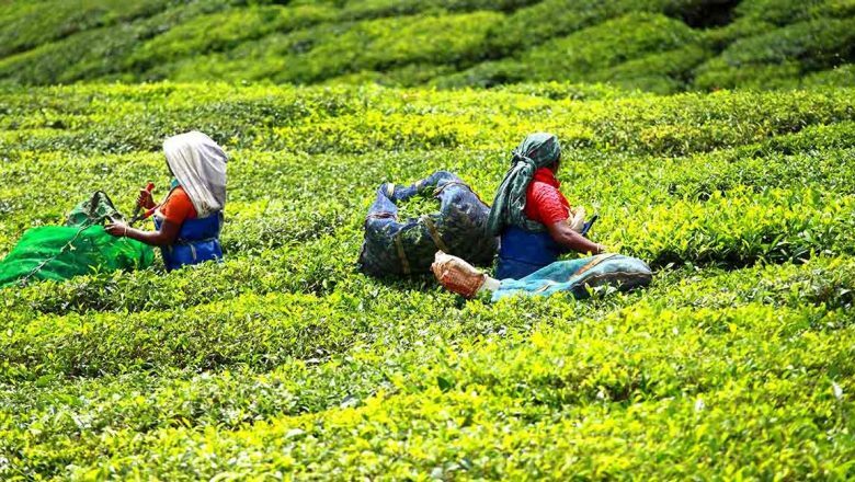 Kerala to seek Centre's approval for UAE