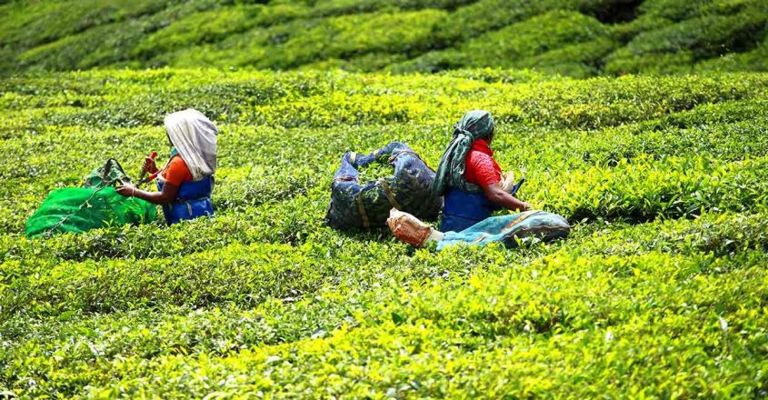 Kerala to seek Centre's approval for UAE