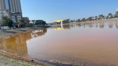 Tea-Coloured Pond Water near Mall