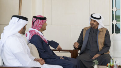 UAE President Receives Qatar's Prime Minister