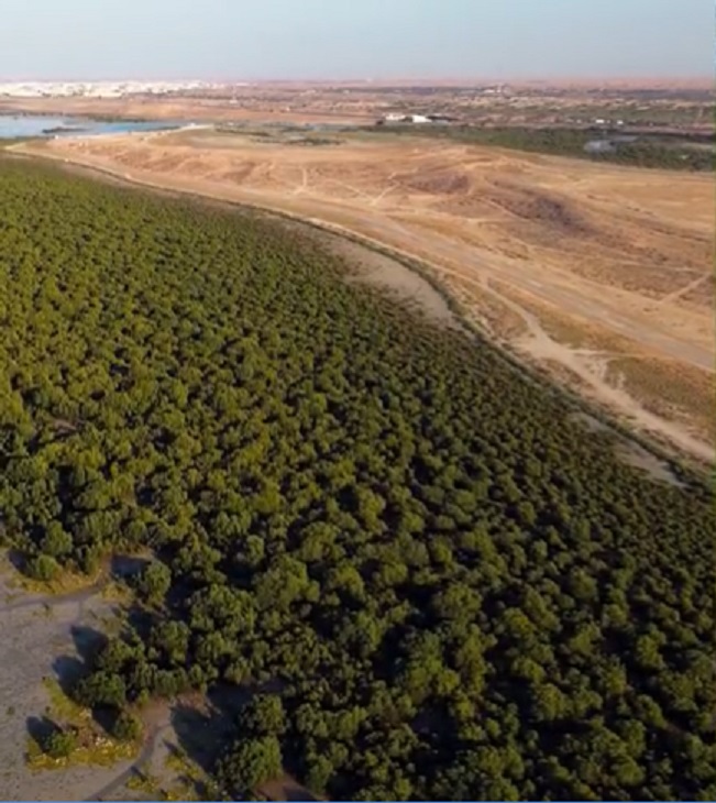 UAE tackles desertification and water scarcity
