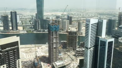 UAE removed from financial crime watch list, a victory for the nation