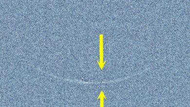 UAE astronomers, Ramadan crescent, triumph, celestial observation, Al-Khatt Astronomical Observatory,