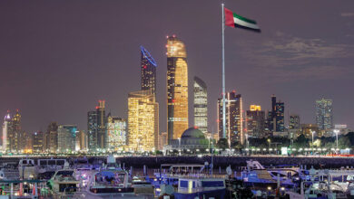 UAE Considering 10-Year Golden Business License at Competitive Rates