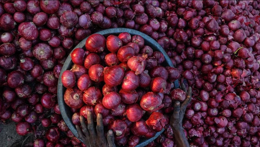 Govt allows additional 10,000 tonnes of onion exports to UAE