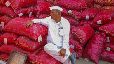 Government, Onion exports, Supply concerns, Maharashtra, Surplus management