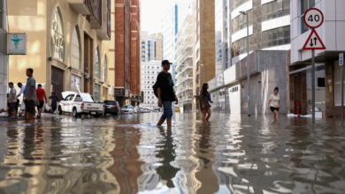 Oman and UAE floods probably connected to climate change, say scientists