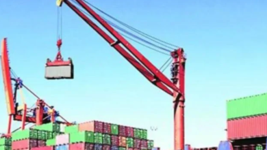 Partnerships to Propel UAE and India’s Growth CEPA Council Director