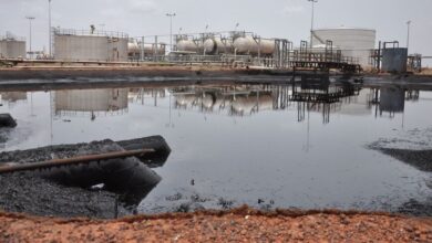 UAE Company Agrees $13B Loan Deal with South Sudan for Oil