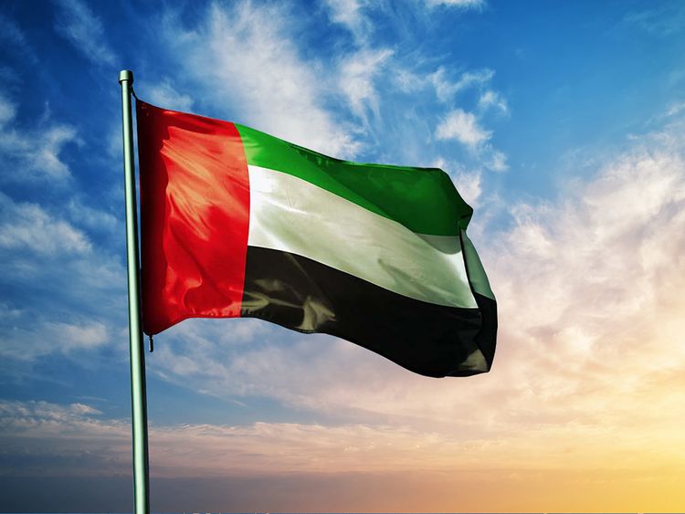 UAE dismisses Sudan UN envoy's false allegations