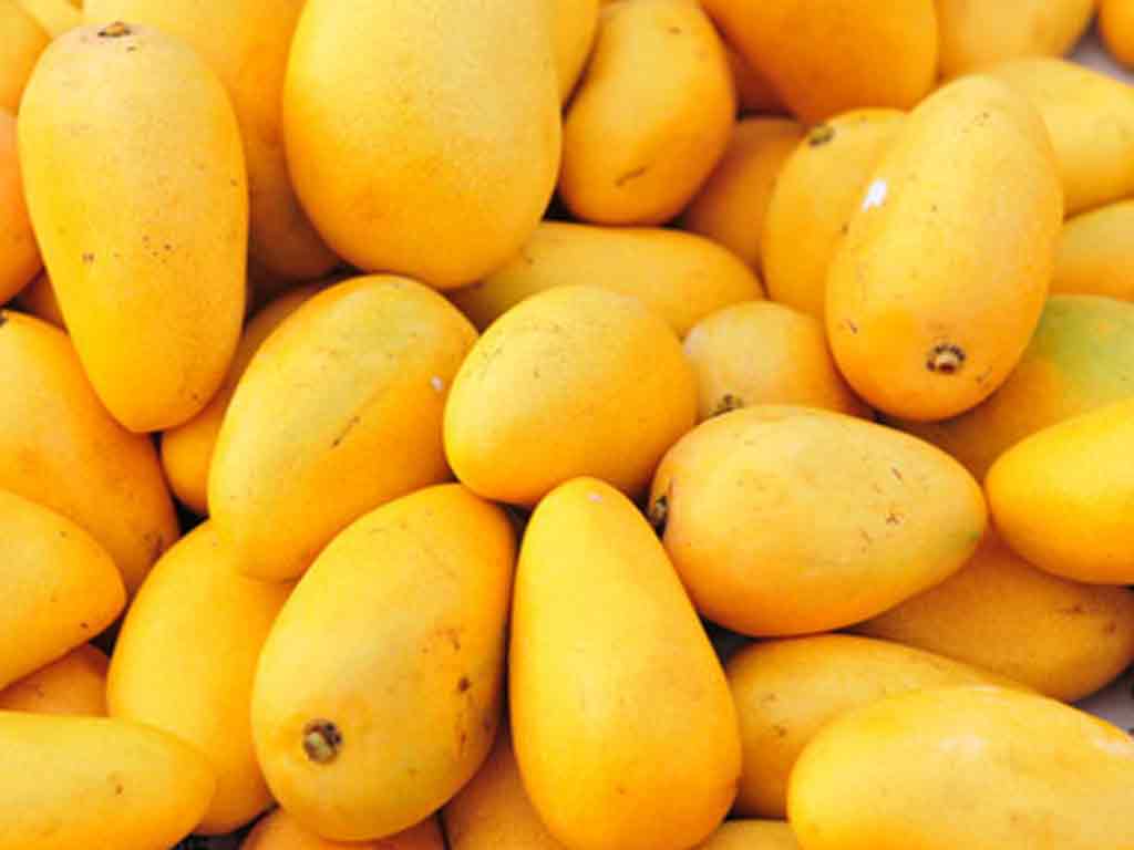 Pakistani Mangoes Arrive in UAE: Any Price Drops This Year?