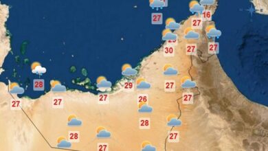 UAE weather forecast for Monday 13 May to Friday 17 May 2024