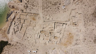 ancient city UAE, archaeology Umm Al Quwain, Tu'am excavation, Gulf coast history, historical discoveries UAE