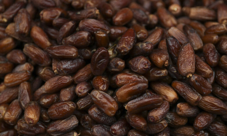 Ban on Date Imports Allegedly Pits UAE Against Israel's Agriculture Ministry