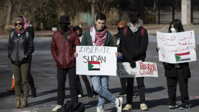 UAE Expands Reckless Policies and Interventions