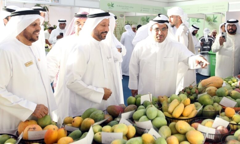 UAE Mango Festival 2024 Begins at Expo Khor Fakkan