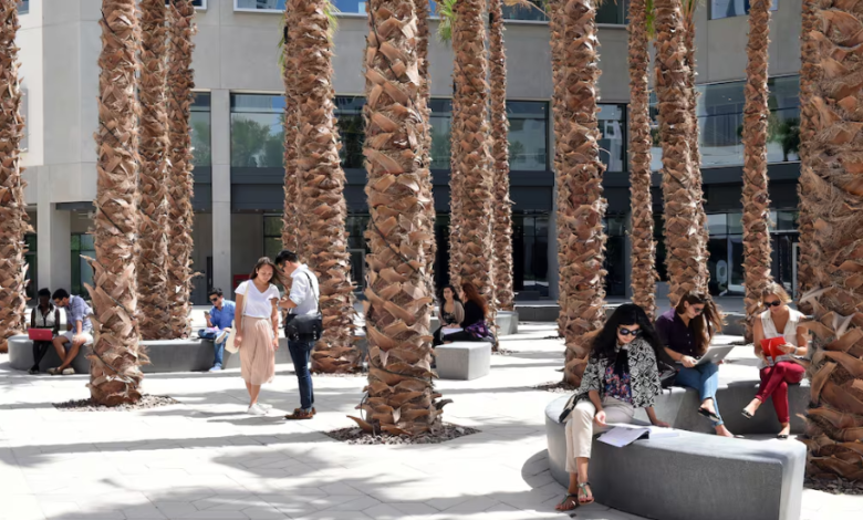 UAE Universities Ranked for First Time to Boost Performance