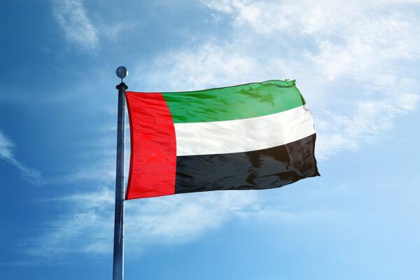UAE calls for urgent action to avert famine in Sudan, urges peace