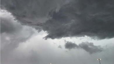 Harsh Weather UAE Embassy Advises Caution to Emiratis in Ottawa