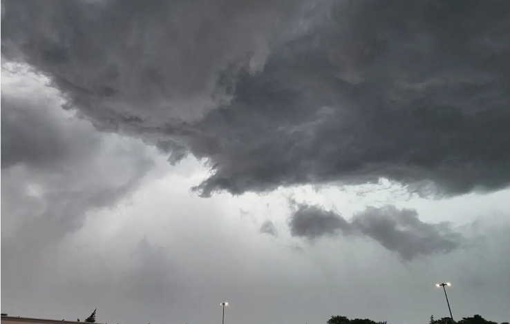 Harsh Weather UAE Embassy Advises Caution to Emiratis in Ottawa