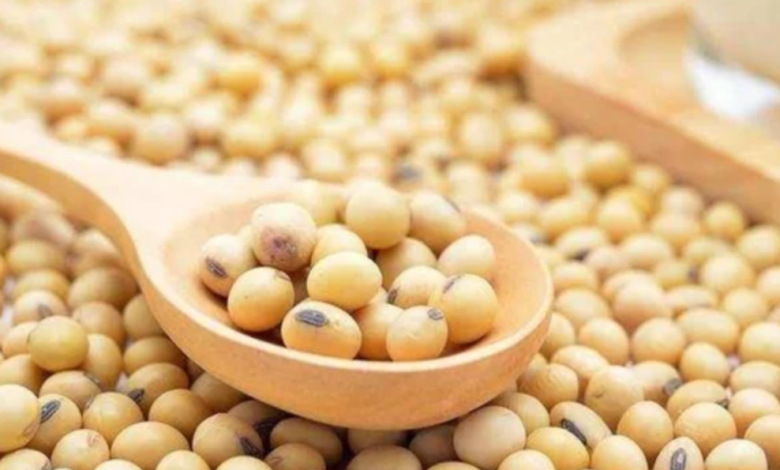 Soybean Meal Demand Soars in Iran and UAE