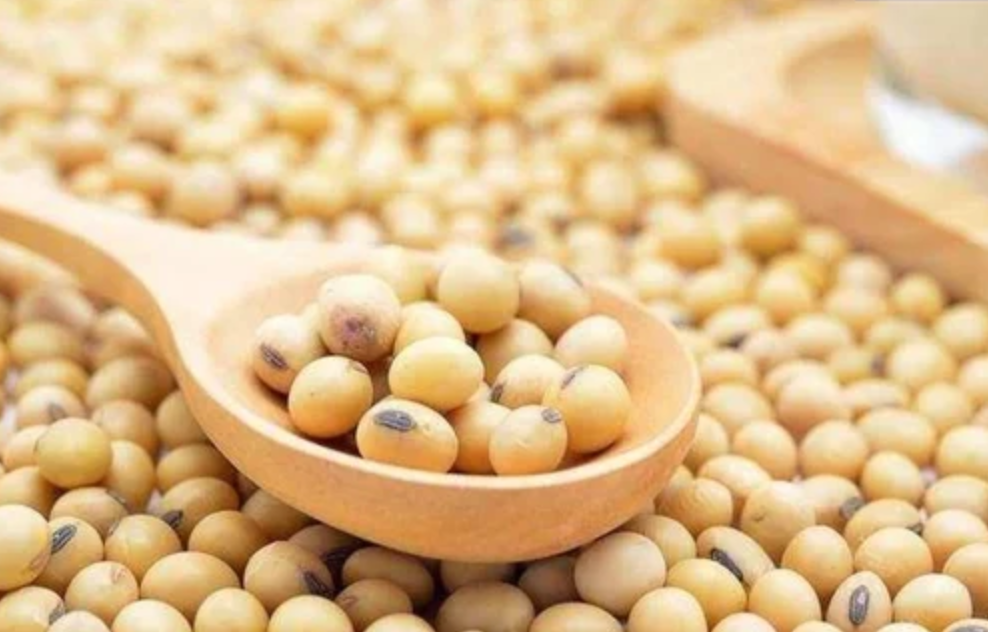 Soybean Meal Demand Soars in Iran and UAE
