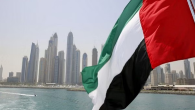 UAE CSO Network launches 'AI for Sustainability Hub' at Global Sustainability Forum
