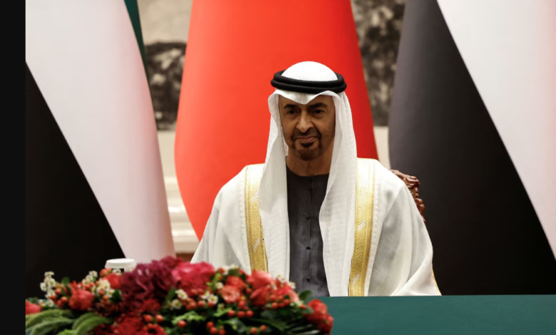 UAE President talks Sudan peace efforts with army chief Burhan
