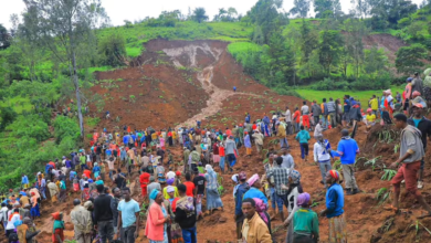 UAE Sends Vital Aid to Ethiopia Amid Deadly Landslides