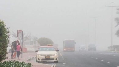 UAE Weather: Yellow Alert for Rain; Speed Limits Lowered for Safety