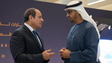 Egypt and UAE Leaders Meet to Discuss Ties and Regional Issues