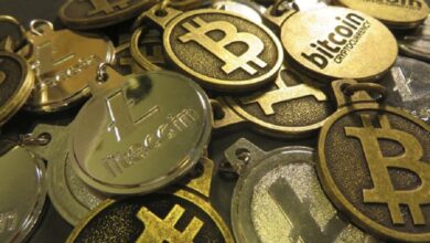 India’s Okto Wallet secures license in Ras Al Khaimah for UAE expansion