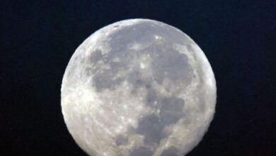 UAE- 'Blue' Supermoon Tonight—Best Viewing Times and Spots