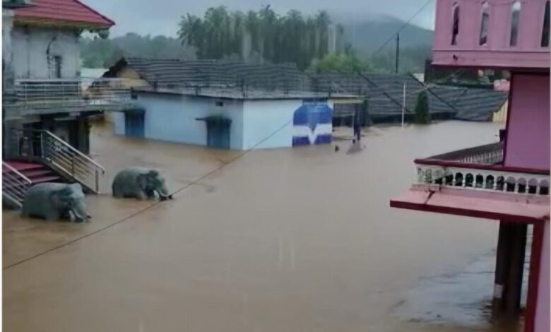 UAE Expats Rush to Bring Families from Disaster-Hit Homelands