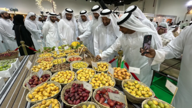 Al Dhaid Date Festival 2024 Launches in Sharjah