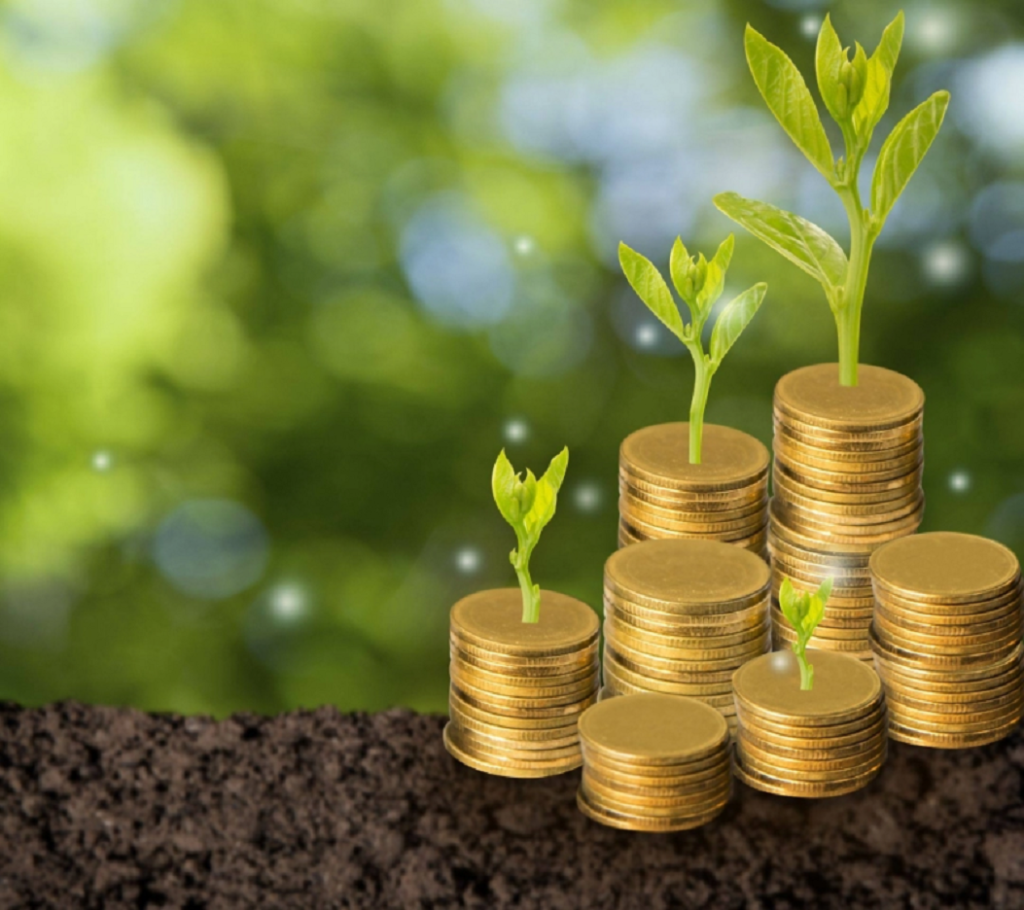 UAE: Global Leader in Green Finance and Sustainable Development