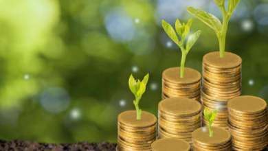 UAE: Global Leader in Green Finance and Sustainable Development