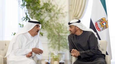 UAE President meets Umm Al Quwain Ruler
