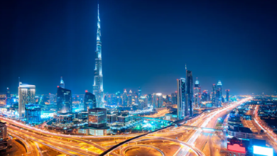 UAE mandates e-visa for GCC residents; key details inside