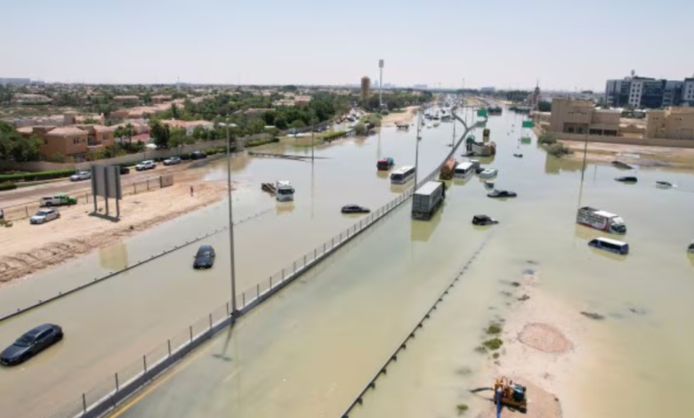 UAE plans dams, canals to curb heavy rainfall impact